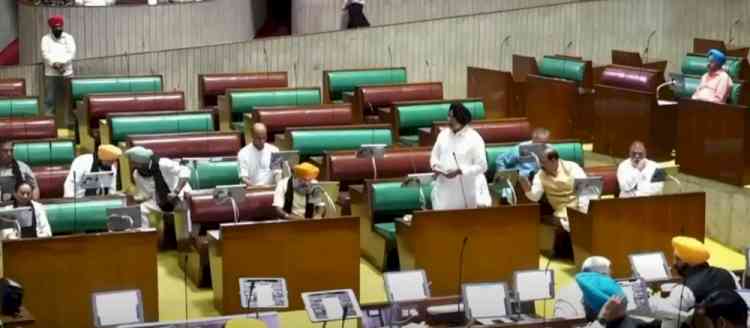 Delay in Desilting of Bhakra Dam Could Prove Disastrous for Punjab: Manpreet Singh Ayali