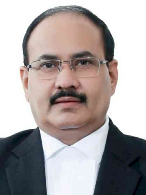 Bar Association Elections in Punjab, Haryana, Chandigarh on Sept 11; Bar Council Extends Key Deadlines