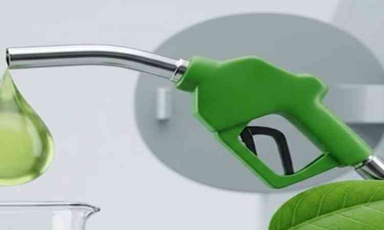 E20 rollout backed by scientific studies, industry validation: Centre