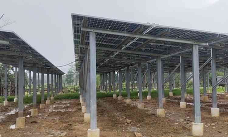 Thenhi becomes first solar village in Chhattisgarh’s Dhamtari, residents rejoice over benefits