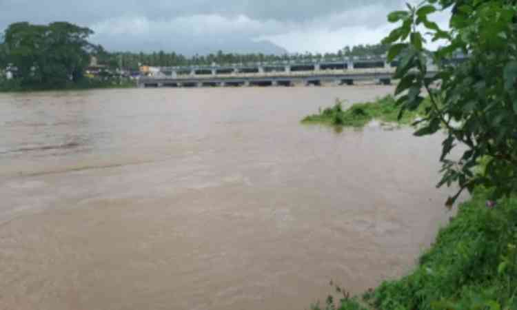 Rescue ops underway on war footing to save stranded animals in Kerala floods