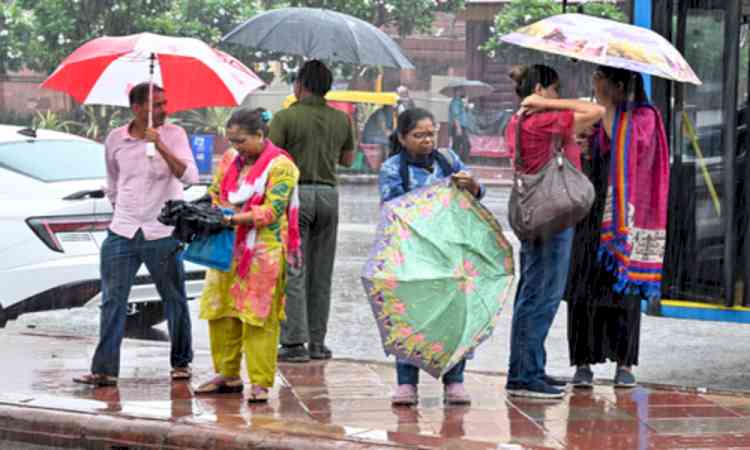 Delhi rains: Fire Department receives multiple calls of house, tree collapse incidents 