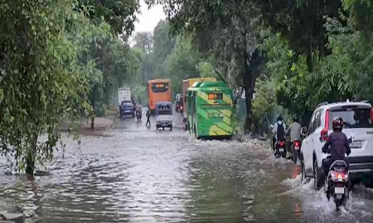 Delhi-NCR continues to grapple with waterlogging, traffic congestion, disruptions to daily life