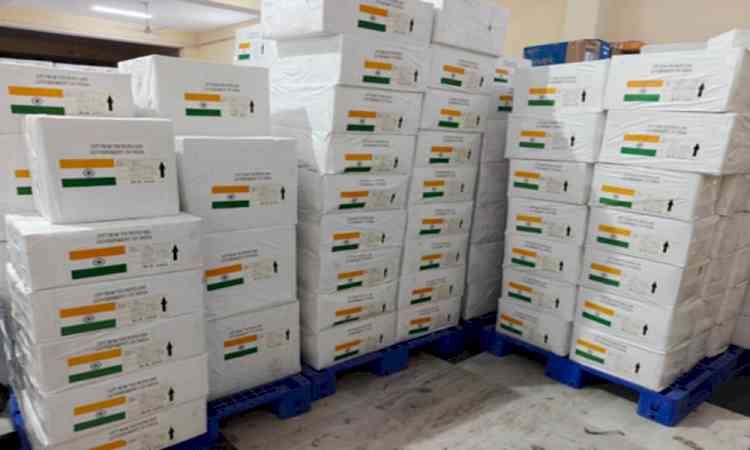India sends 8 MT of life-saving medicines to Bolivia to support public healthcare