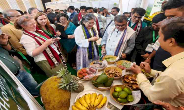 Tripura exports 1,000 kg organic honey to UAE