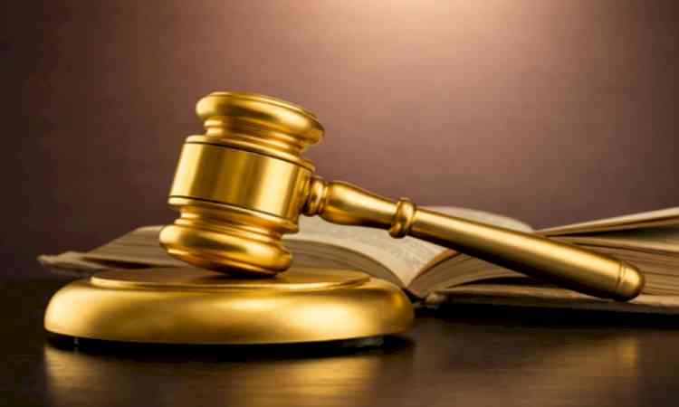 Punjab and Haryana HC stays appointment of 454 pharmacists