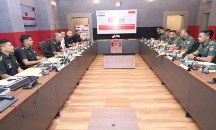 India, Indonesia discuss strengthening defence cooperation, enhancing expertise exchanges 