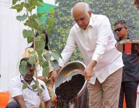 Gujarat: Amreli launches green drive, Oxygen Park ahead of I-Day