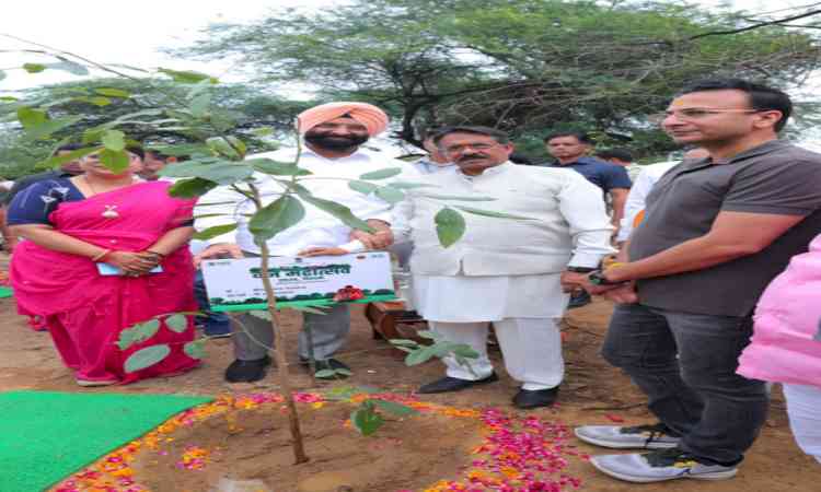 Delhi: City BJP chief Harsh Malhotra joins plantation drive on Ridge