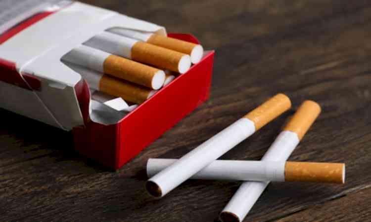Fake cigarettes worth $404,842 seized in US