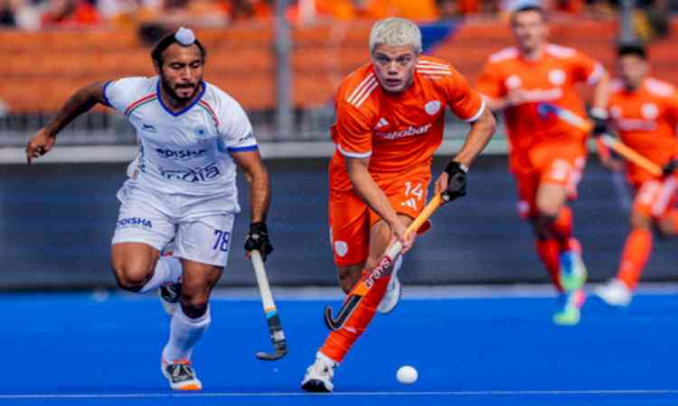 Hockey World Cup: Indian men fight but lose to the Netherlands 1-3 in Pool E