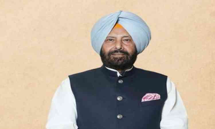 Punjab BJP slams economic policies of AAP govt 