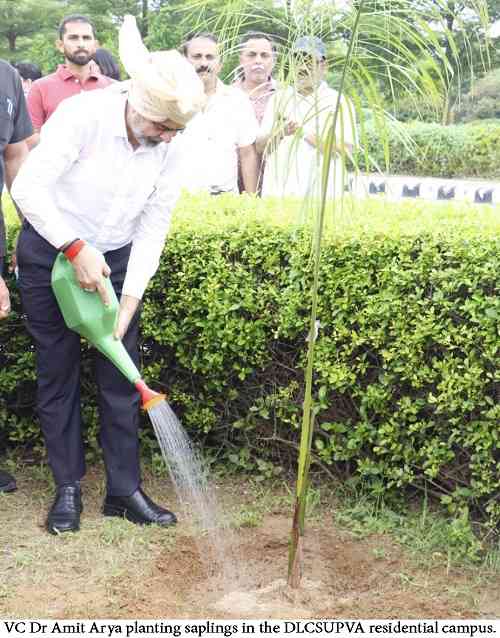 Green Drive at DLC SUPVA: 150 Saplings Planted, Students Take Responsibility