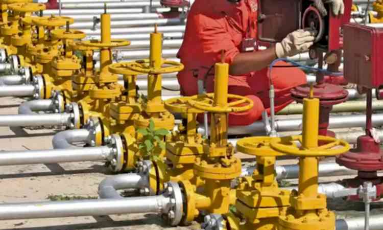 Centre asks states to help in speeding up switch from LPG to PNG by households