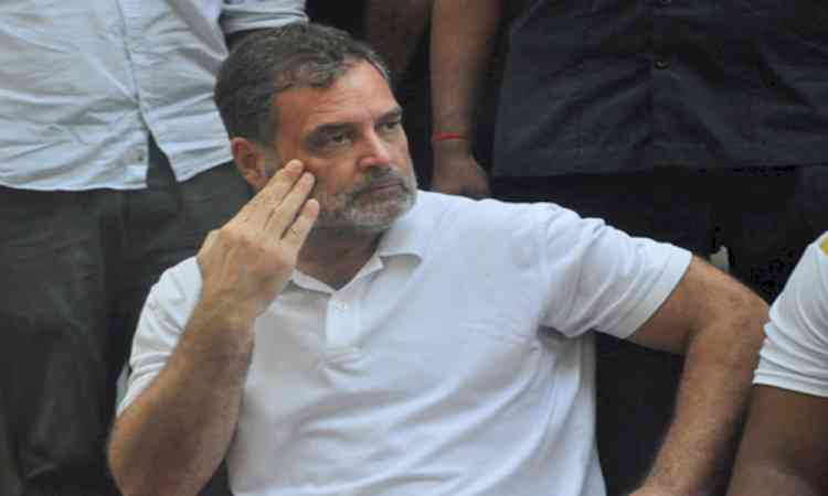 UP Minister backs CM Yogi’s remarks on Rahul Gandhi, says Congress leader ‘puts India in dock’