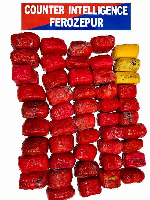 44.5 Kg heroin, 3 kg ice recovered near Indo-Pak Border in Ferozepur