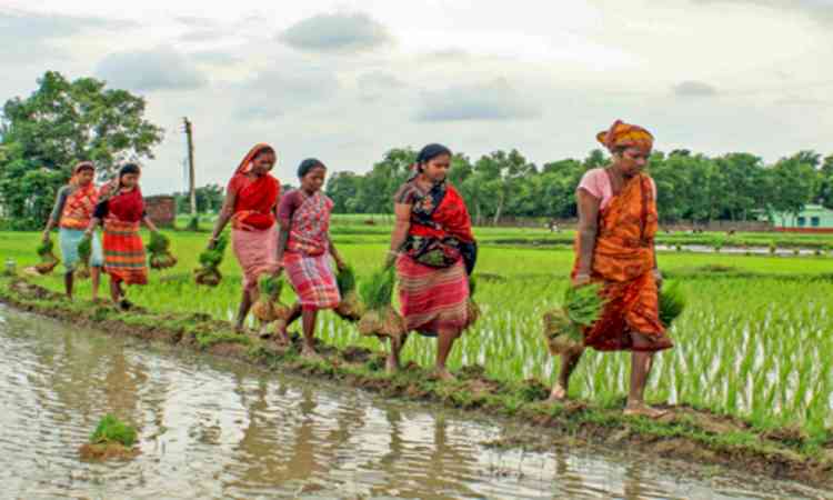 Bengal govt directs DMs to identify migrant workers' families for receiving rural job cards