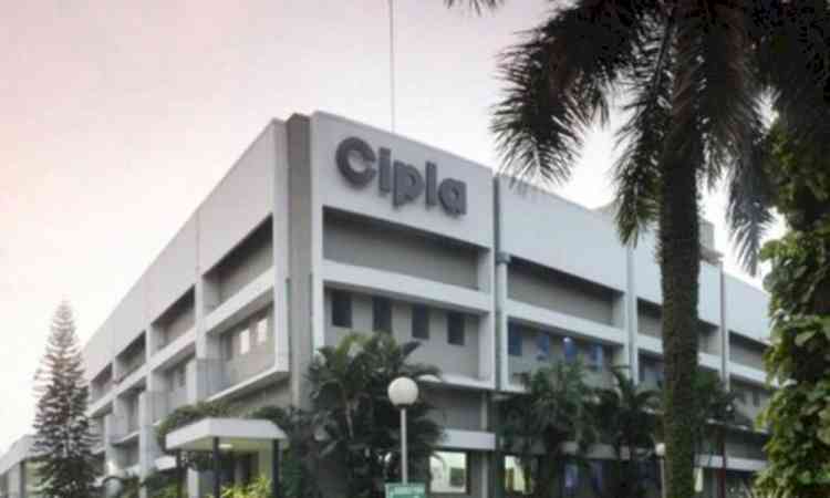 Maharashtra FDA cancels drug sale licence of Cipla's Pune unit