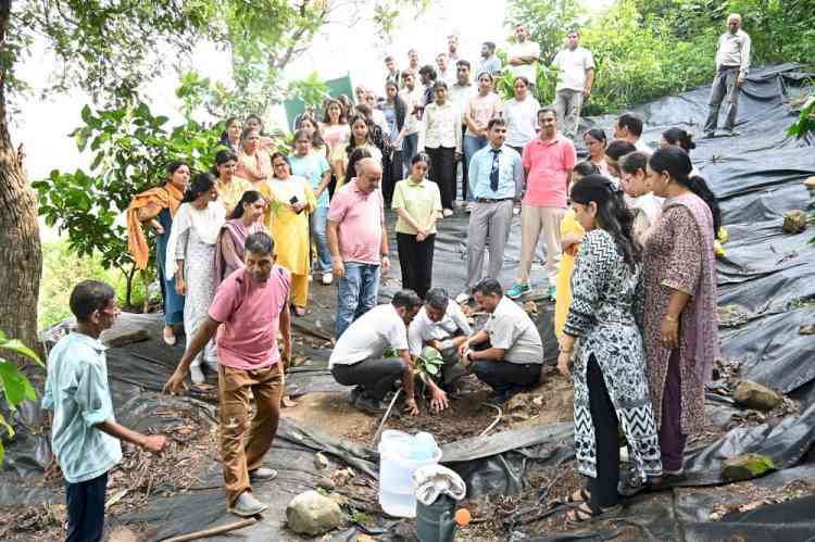 COHF Neri Celebrates Foundation Day with Vanmahotsav