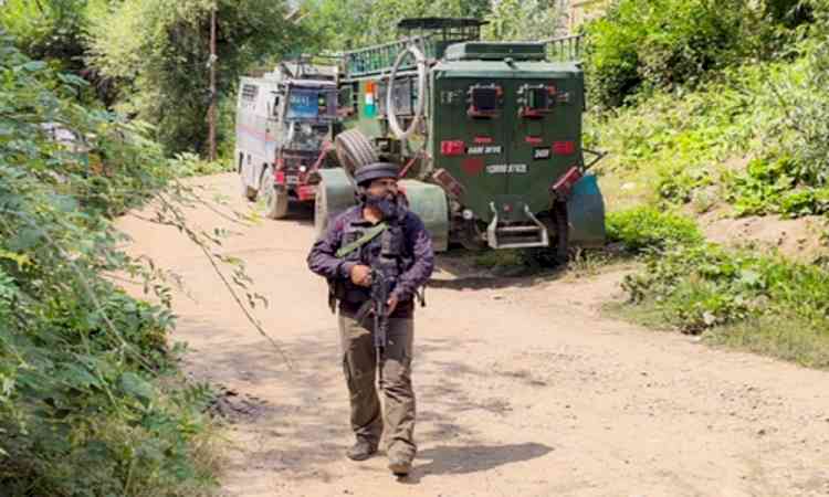 Security forces bust terror hideout in J&K’s Shopian; recover arms, ammunition