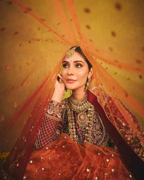 Alankrita Sahai Radiates Regal Charm in Stunning Bridal Avatar 