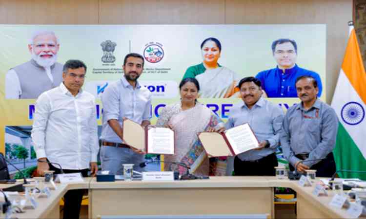 Delhi govt promotes PPP model to beautify spaces under flyovers