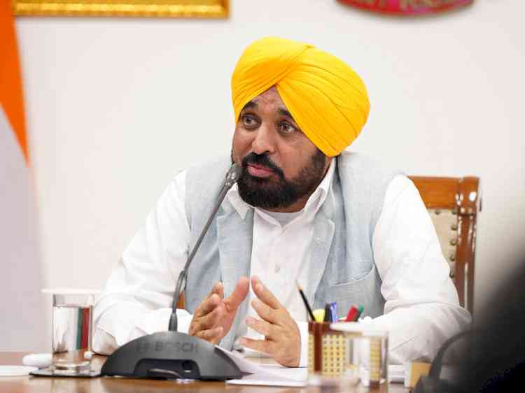 Punjab Fully Geared Up For Smooth, Hassle-Free Paddy Procurement In Kharif Season: CM Bhagwant Singh Mann
