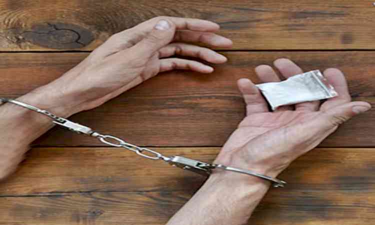 US and Sri Lanka bust Pakistani drug trafficking network, seize 463 kg of crystal methamphetamine