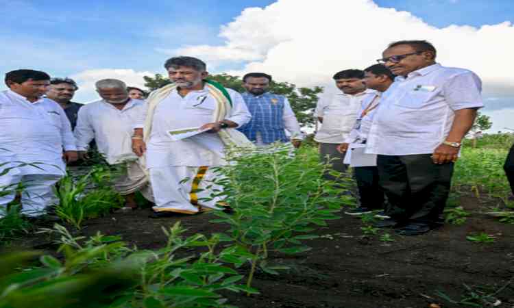 'Crops have failed': Karnataka CM Shivakumar conducts drought survey in Bagalkot