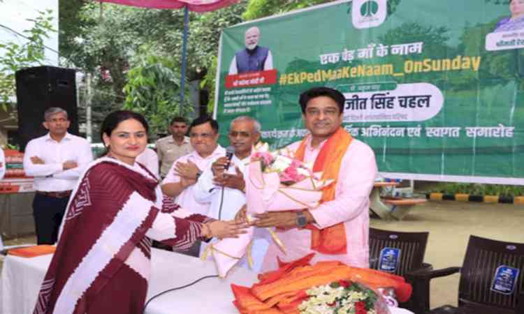 Delhi: NDMC V-C Kuljeet Singh Chahal to lead plantation drive in Raja Bazar tomorrow