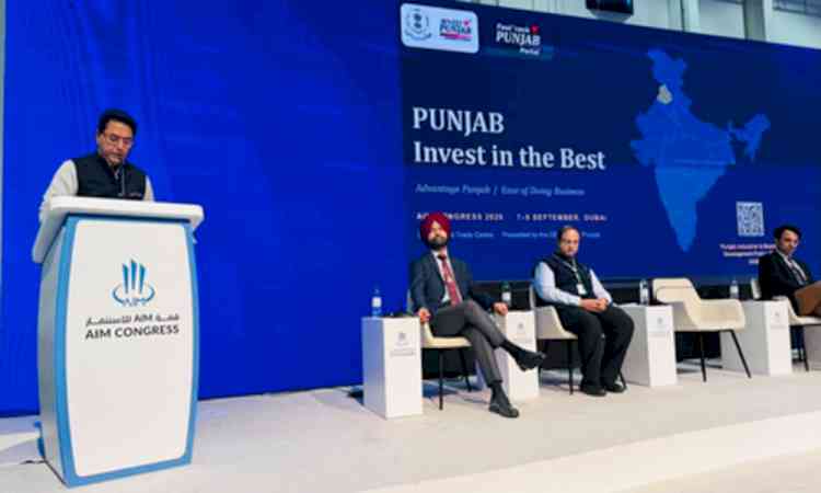 Punjab minister invites UAE investors with fast-track approvals