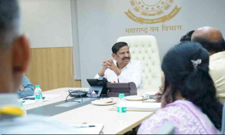 Maharashtra unveils Land Bank to accelerate infra projects and advance compensatory afforestation