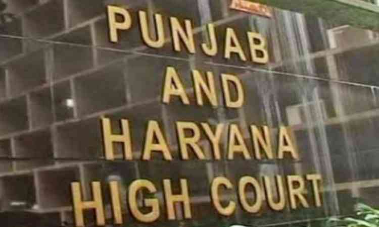 HC pulls up Punjab govt over delay in complying with DA order