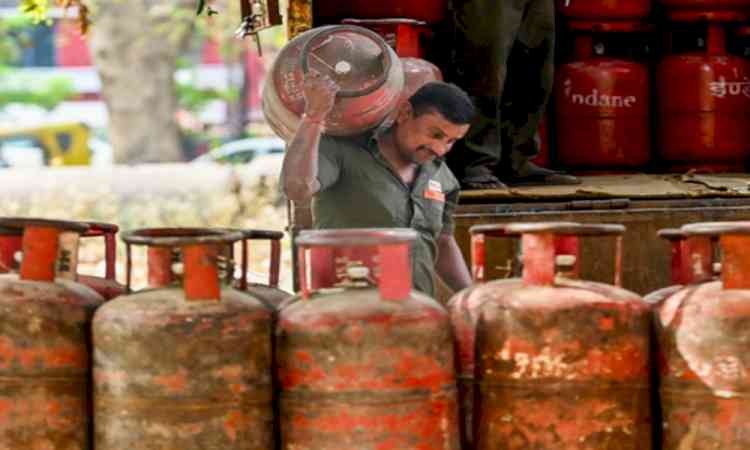 New PNG incentive scheme to accelerate domestic connections, cut payback period to nearly 3 years: Govt