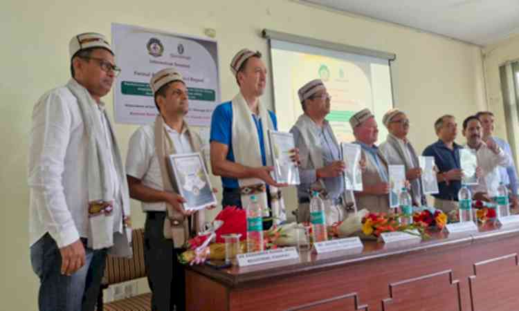 Himachal varsity develops climate-smart direct-seeded rice variety