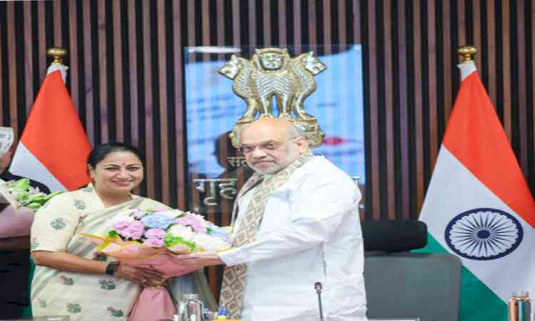 Delhi Cabinet doubles ASHA workers' monthly incentive from Rs 3,000 to 6,000