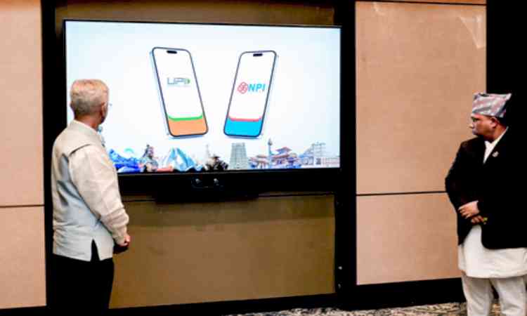 UPI ecosystem needs viable economic foundation to support continued innovation: Industry