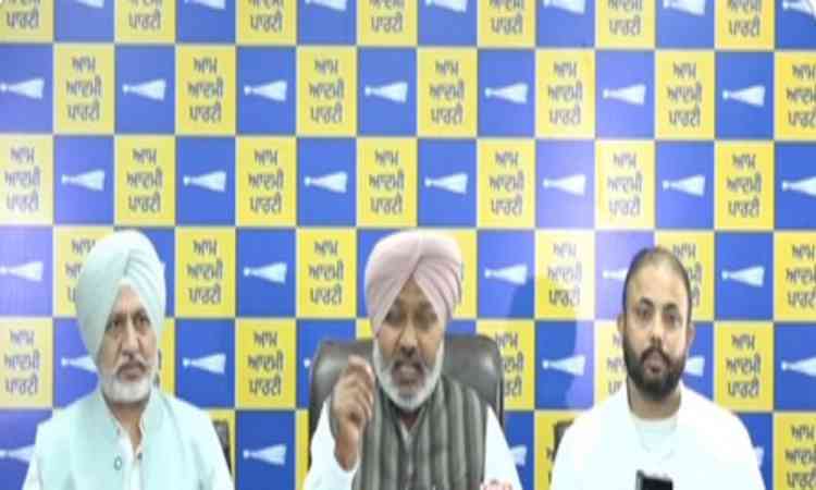 Punjab AAP hits back at BJP's 'Nasha Mukt Punjab Yatra'