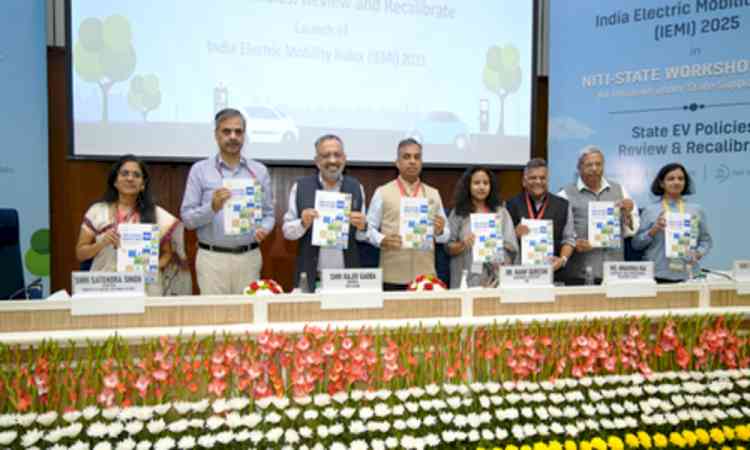 Electric mobility is a 'strategic imperative' for Viksit Bharat:  Senior policy maker