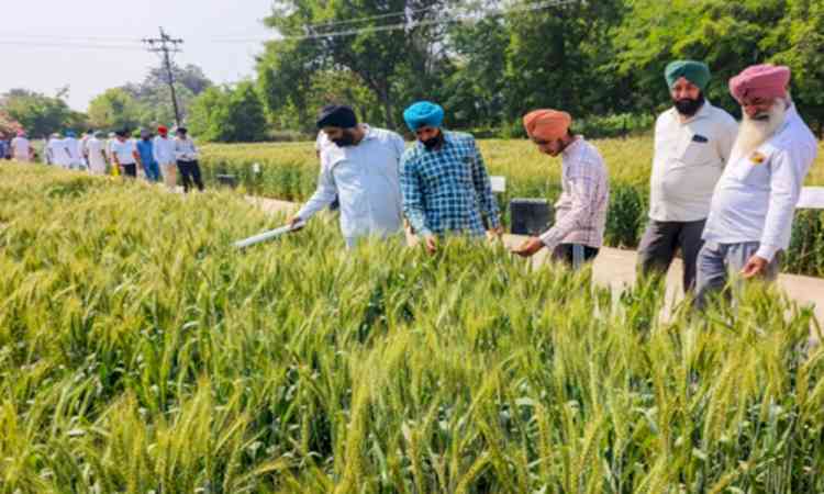 Over Rs 2.9 crore to be disbursed to 2,550 farmers as soil carbon payments: Govt
