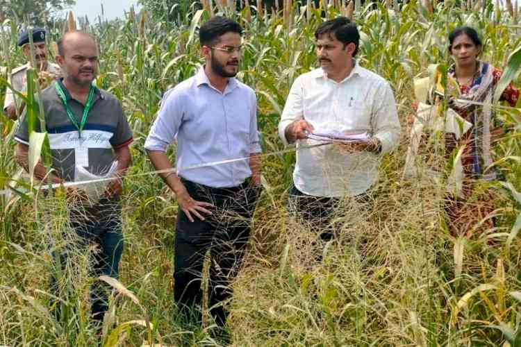 फसल कटाई में लापरवाही नहीं, सटीक आंकड़ों पर जोर