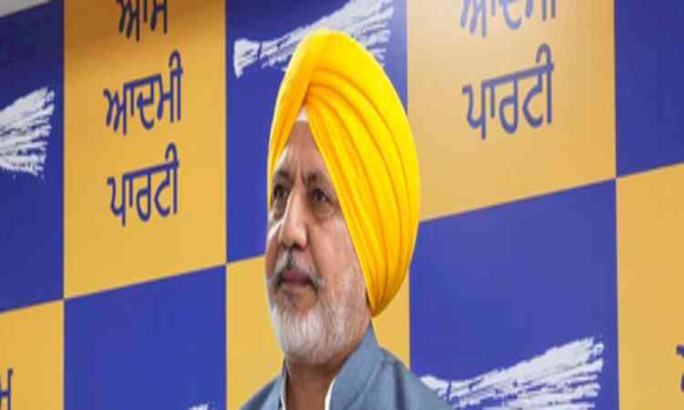 Punjab AAP questions Akali Dal, Congress, BJP on silence over woman's allegations 