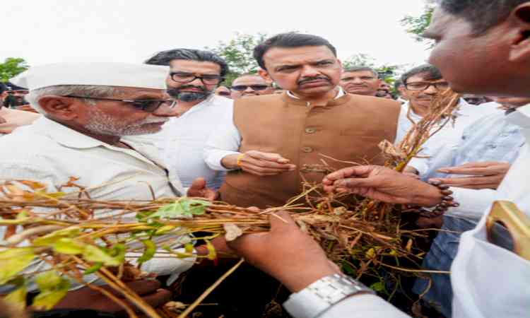 Maha CM orders urgent crop damage assessment