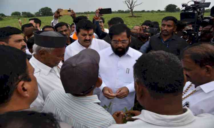 Farmers will not be left in the lurch: Maha Dy CM