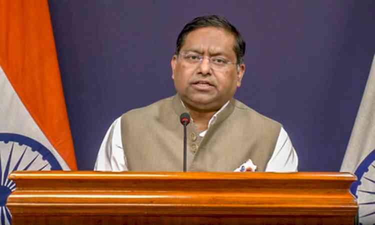 'Better advised to counsel Pakistan': India rejects OIC Contact Group's statement on Jammu and Kashmir 