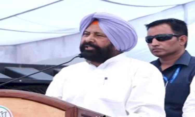 Punjab's AAP govt should address ED issues through facts, rather than allegations, says BJP