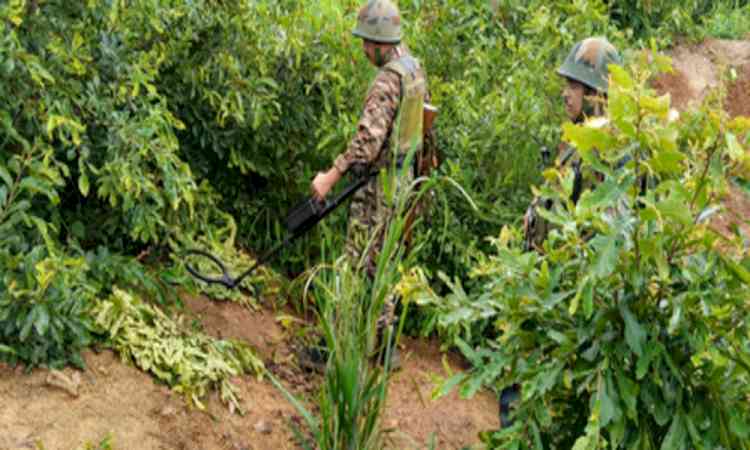 Two more Naga villagers shot dead in Manipur's Senapati