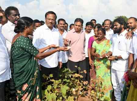 Telangana: Crops drying up despite availability of water in Palamuru, claims KTR 