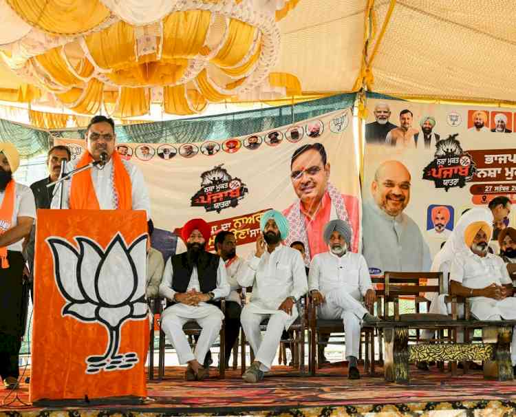 Rajasthan CM targets AAP over drug menace in Punjab