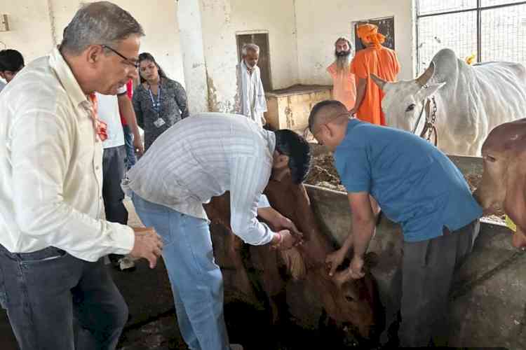 बीएमयूः रेबीज रोकथाम को लेकर टीकाकरण अभियान